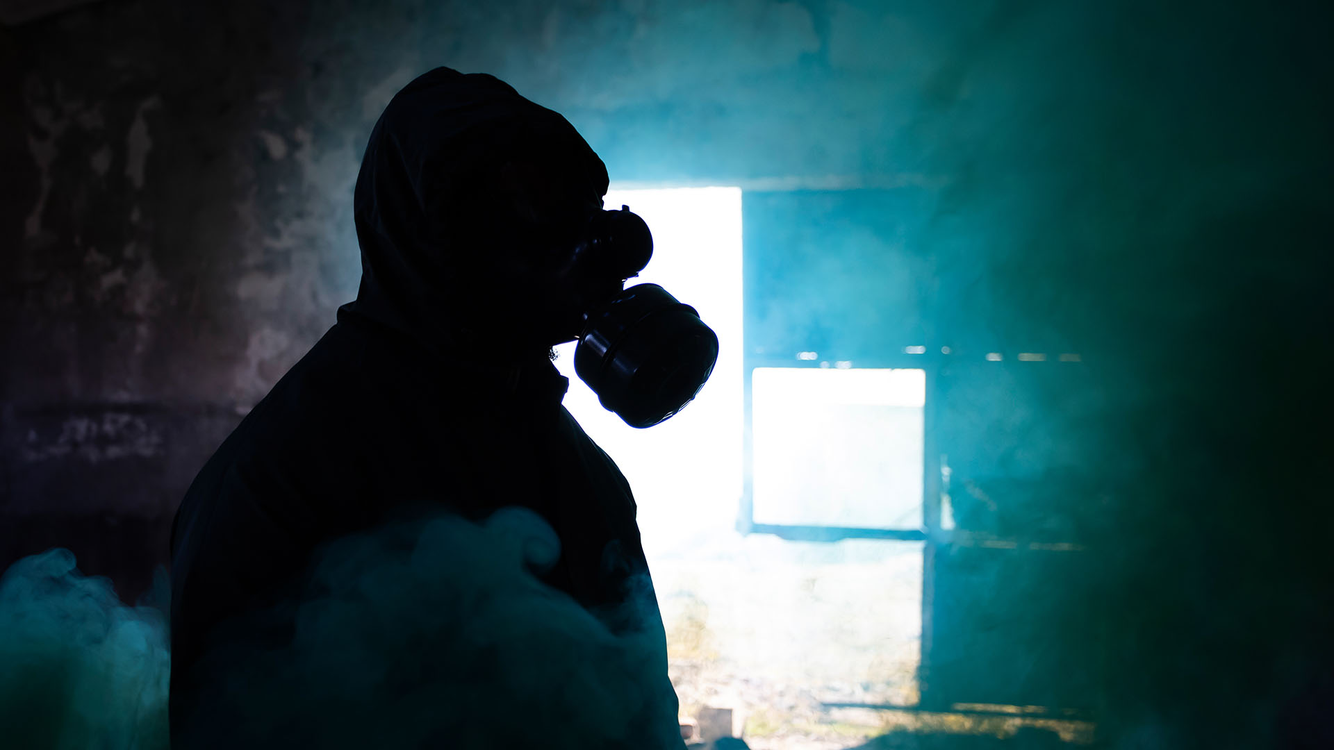 Schimmelbeseitigung Bremen